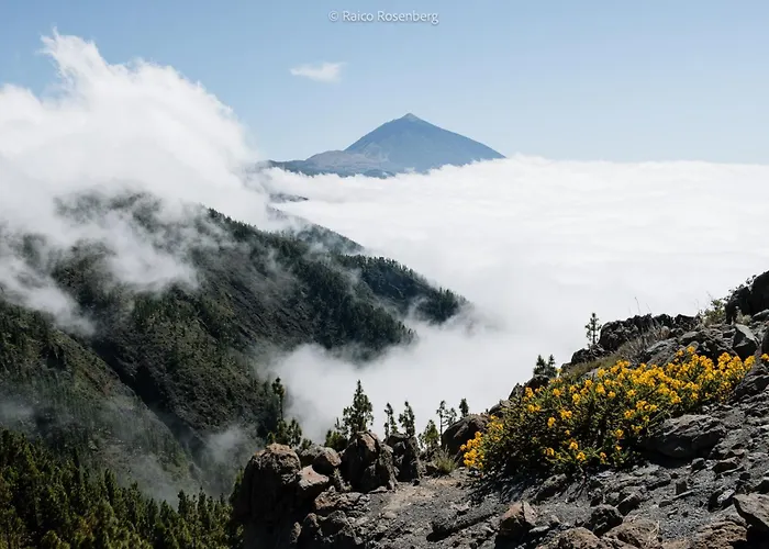 아파트 Amazing Views Tenerife 아로나