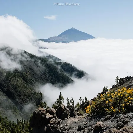 公寓 Amazing Views Tenerife 阿罗纳